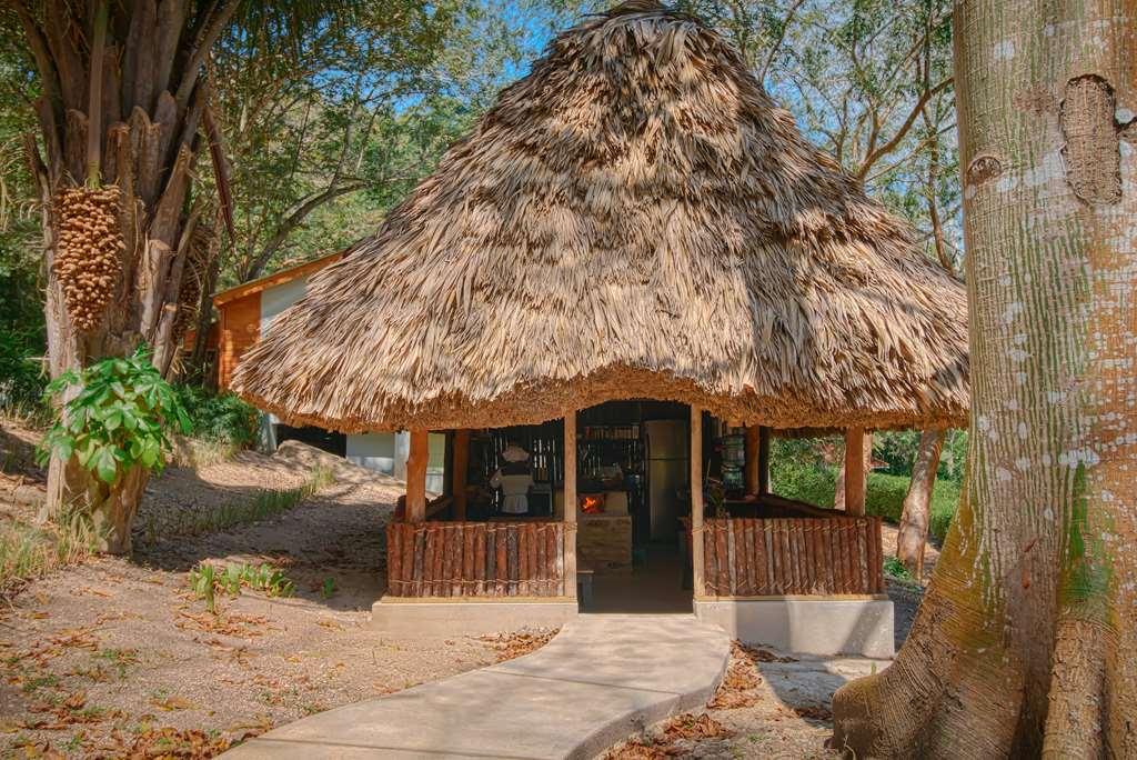The Lodge At Chaacreek San Ignacio Rum bild