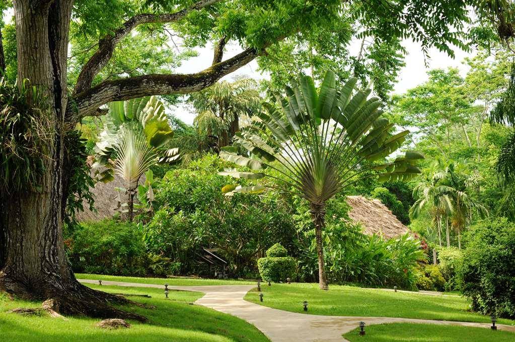 The Lodge At Chaacreek San Ignacio Exteriör bild