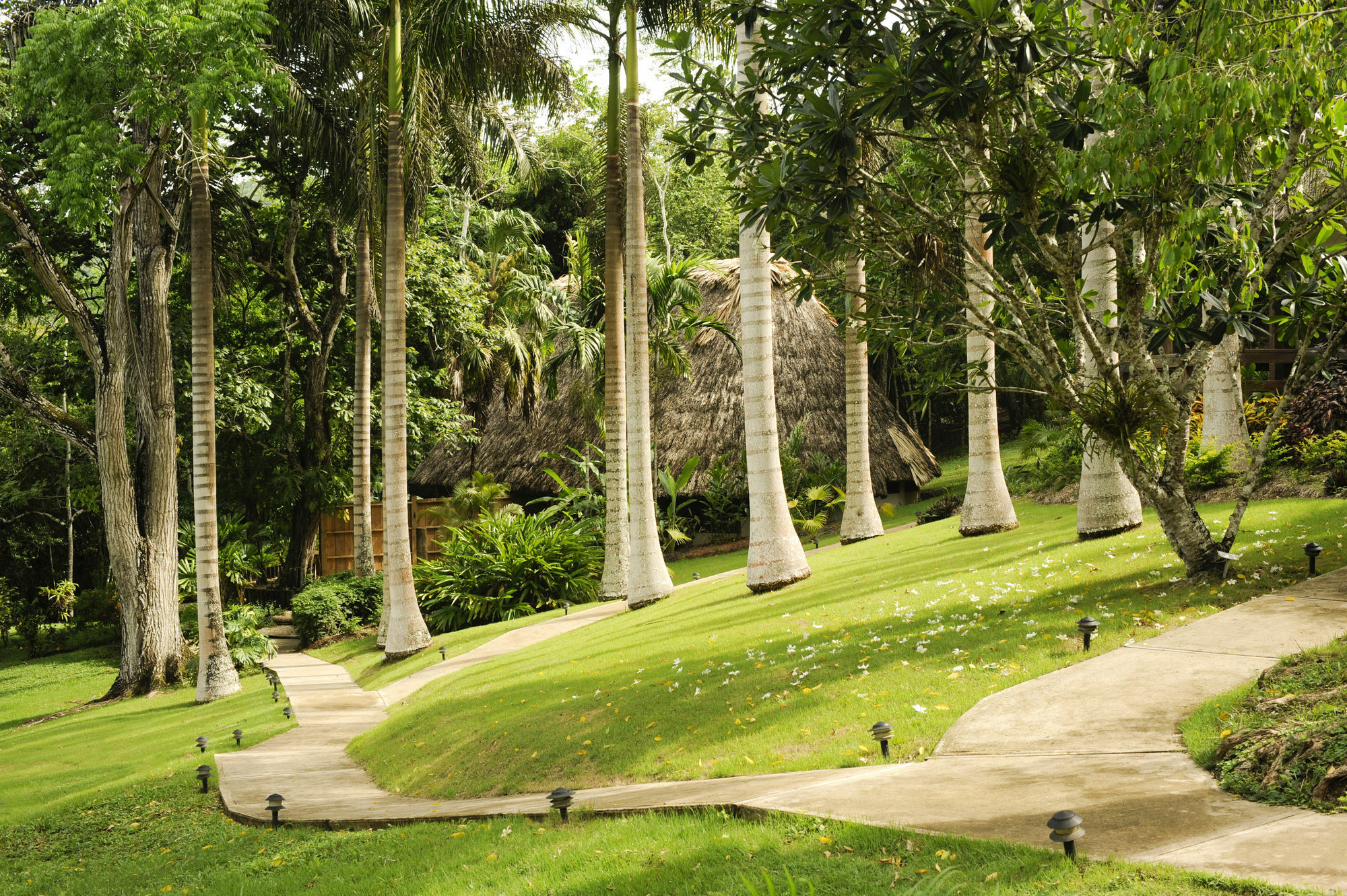 The Lodge At Chaacreek San Ignacio Exteriör bild